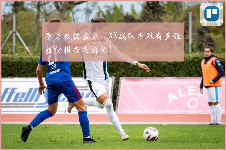 赛后数据盘点,XX战队夺冠有多强这份报告告诉你!