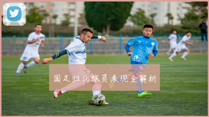 国足归化球员表现全解析